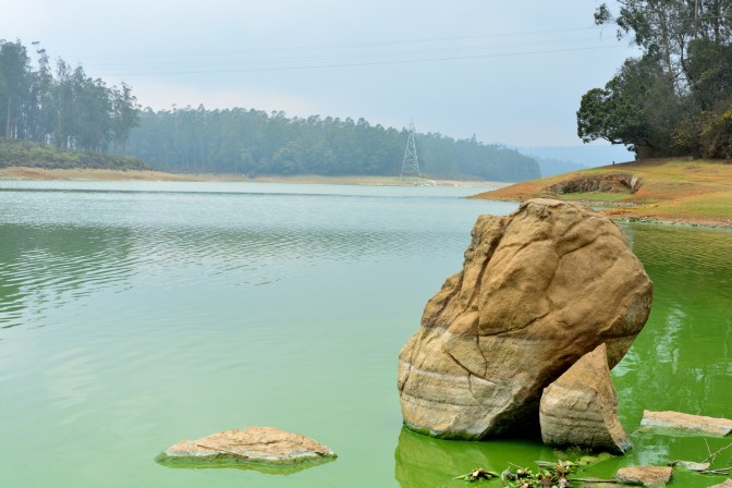 Lake behind Pine Forest @ Ooty